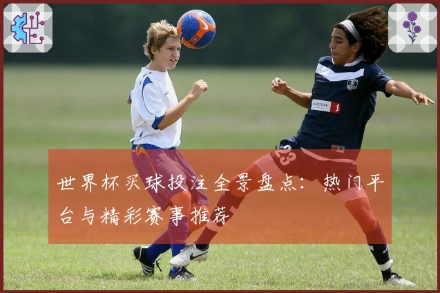 世界杯买球投注全景盘点：热门平台与精彩赛事推荐