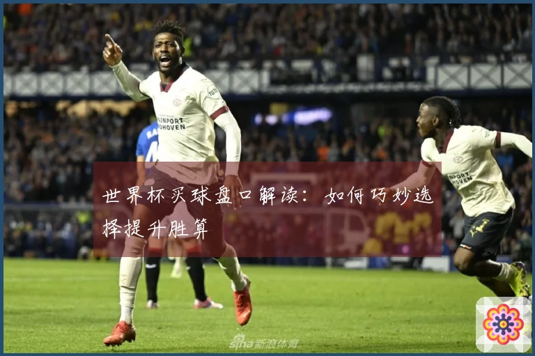 世界杯买球盘口解读：如何巧妙选择提升胜算