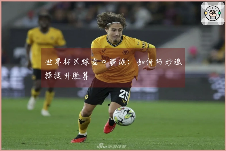 世界杯买球盘口解读：如何巧妙选择提升胜算