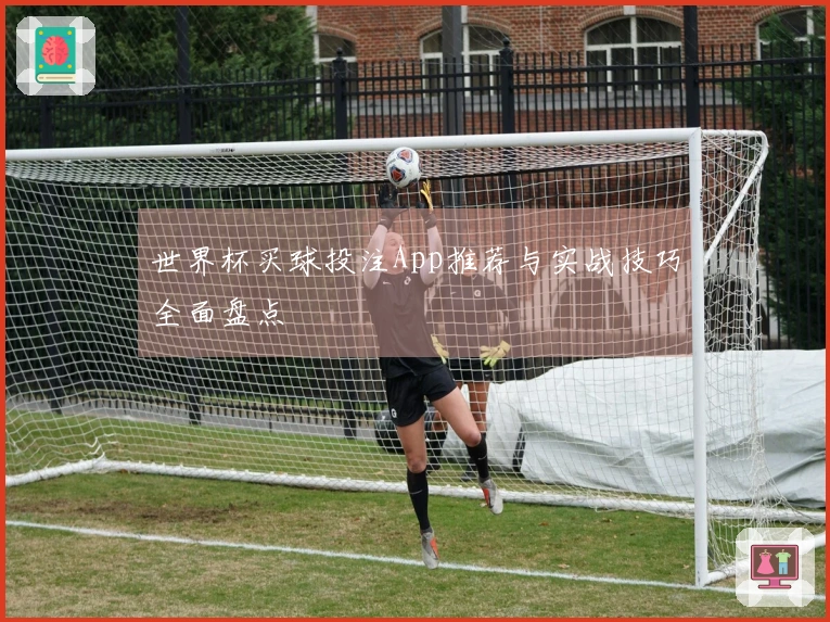 世界杯买球投注App推荐与实战技巧全面盘点
