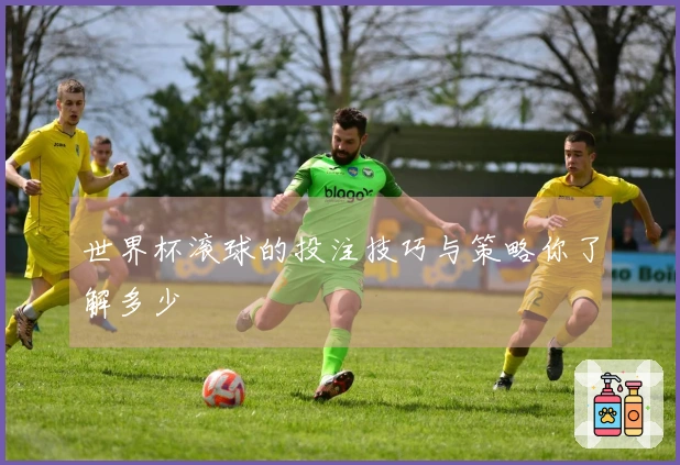 世界杯滚球的投注技巧与策略你了解多少